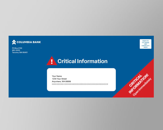 Mailer envelope